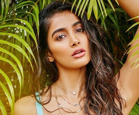 Pooja Hegde Age Family Wiki Biography Amp More Muchfeed
